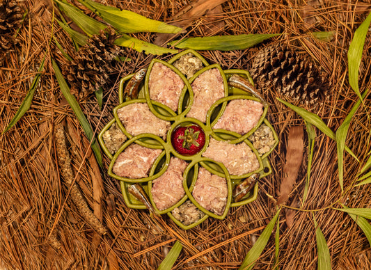 Raw Turkey Meal Blend for Cats & Dogs — Prey Model Raw | Raw Instincts Florida
