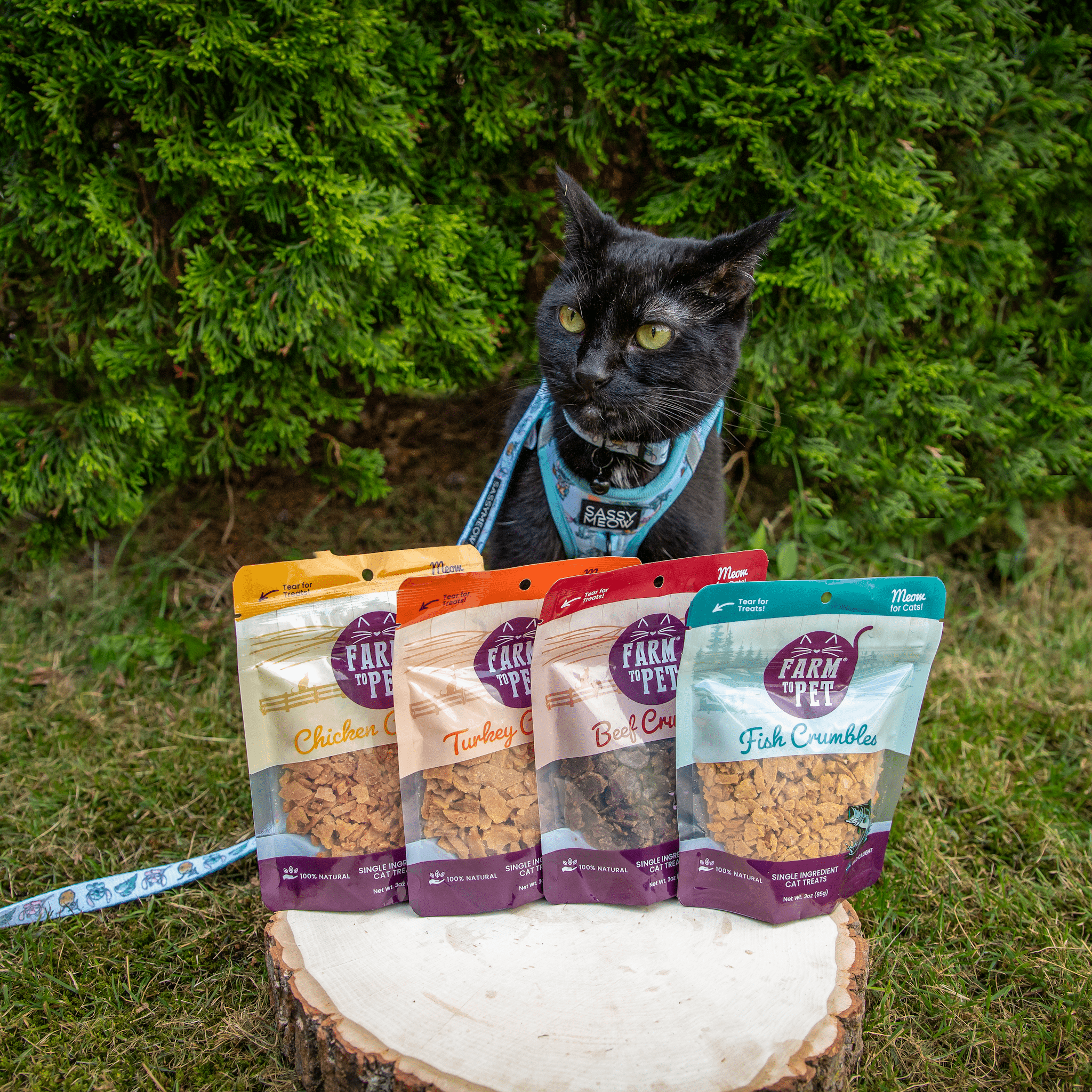 Beef Crumbles Cat Treats | High Protein Treats for Cats