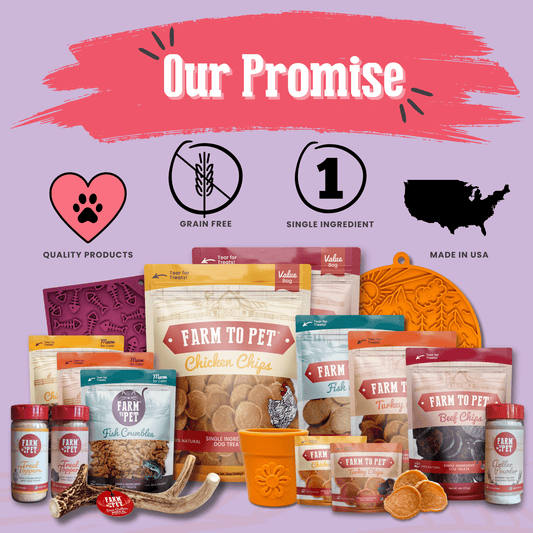 Puppy Love Dog Treat Duo | Poultry Chip Variety Pack