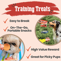 Turkey Chips Snack Pack Bundles | Low Allergen Treats for Training