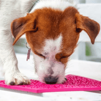 Lick Mats for Cats and Small Dogs