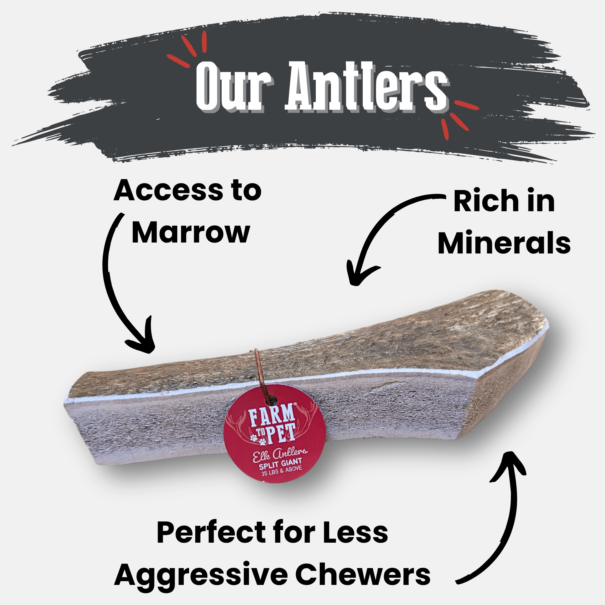 Elk Antler Dog Chews | All-Natural Whole and Split Elk Antler Chews for Dogs