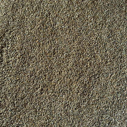 SwitchGrass