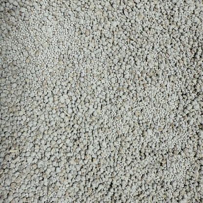 SugarBeets
