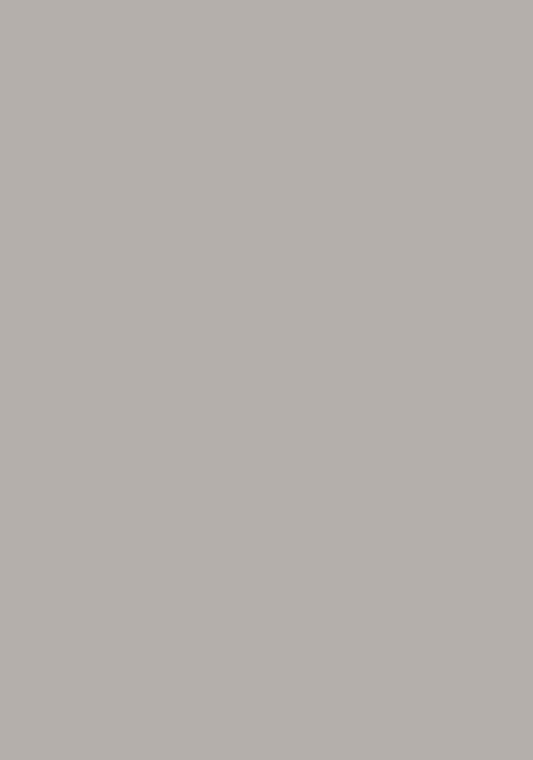 Inspire Knee Patch High Waist Grey Coolmax Breeches