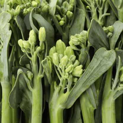 Broccolini Seeds