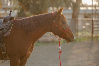 Clinician 4 Knot Halter and 14ft Lead Set