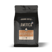Harvest - Pumpkin Spice - Naturally Flavored