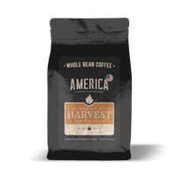 Harvest - Pumpkin Spice - Naturally Flavored