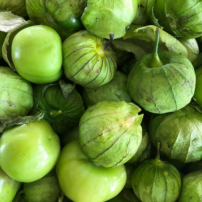 Grande Rio Verde Tomatillo Seeds