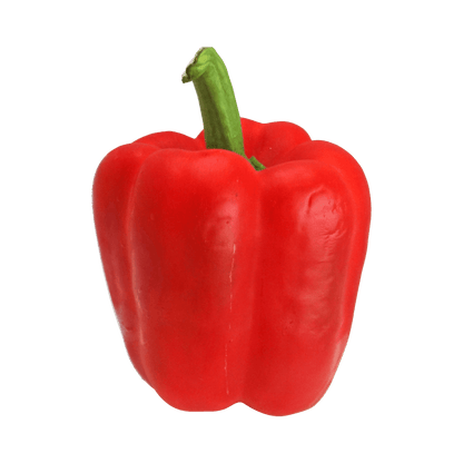 Bell Pepper Seeds
