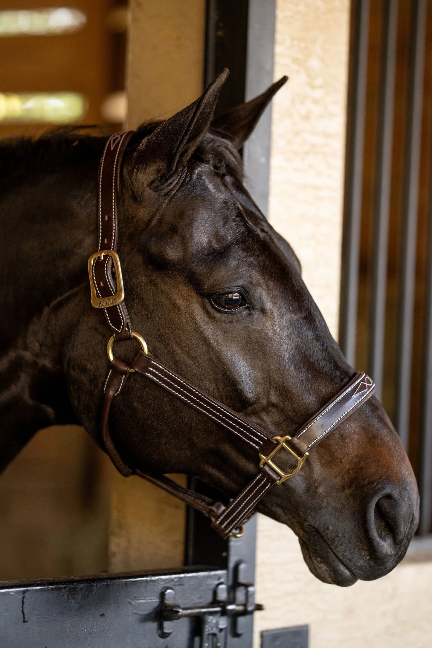 Huntley Equestrian Fancy Stitched Premium Leather Padded Halter