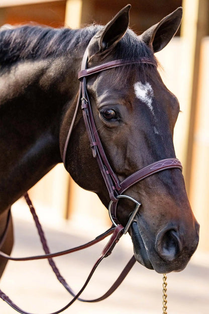 Huntley Equestrian Fancy Stitched Schooling Hunter Bridle with Reins