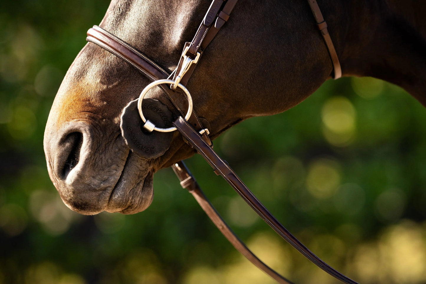 Huntley Equestrian Sedgwick Fancy Stitched Bridle with Cheek Clips and Reins