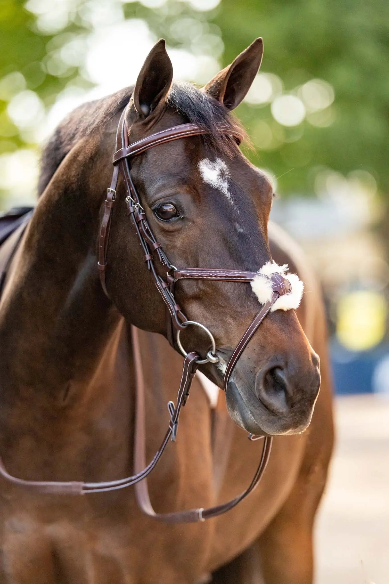 Huntley Equestrian Sedgwick Leather Padded Monocrown Figure 8 Bridle