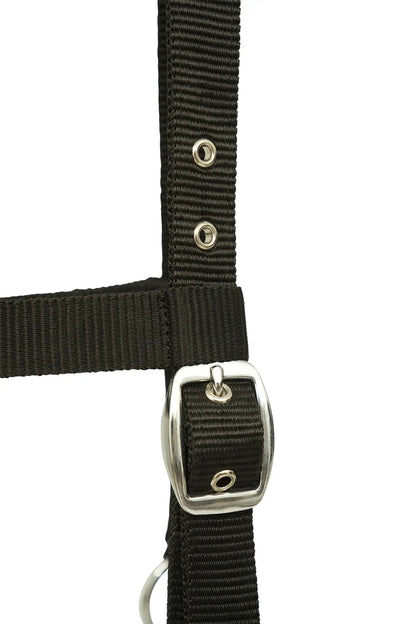 Huntley Nylon Padded Lunging Caveson, Black