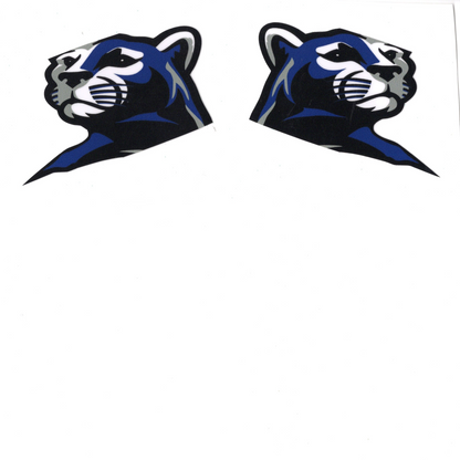 Lacrosse Helmet Stickers