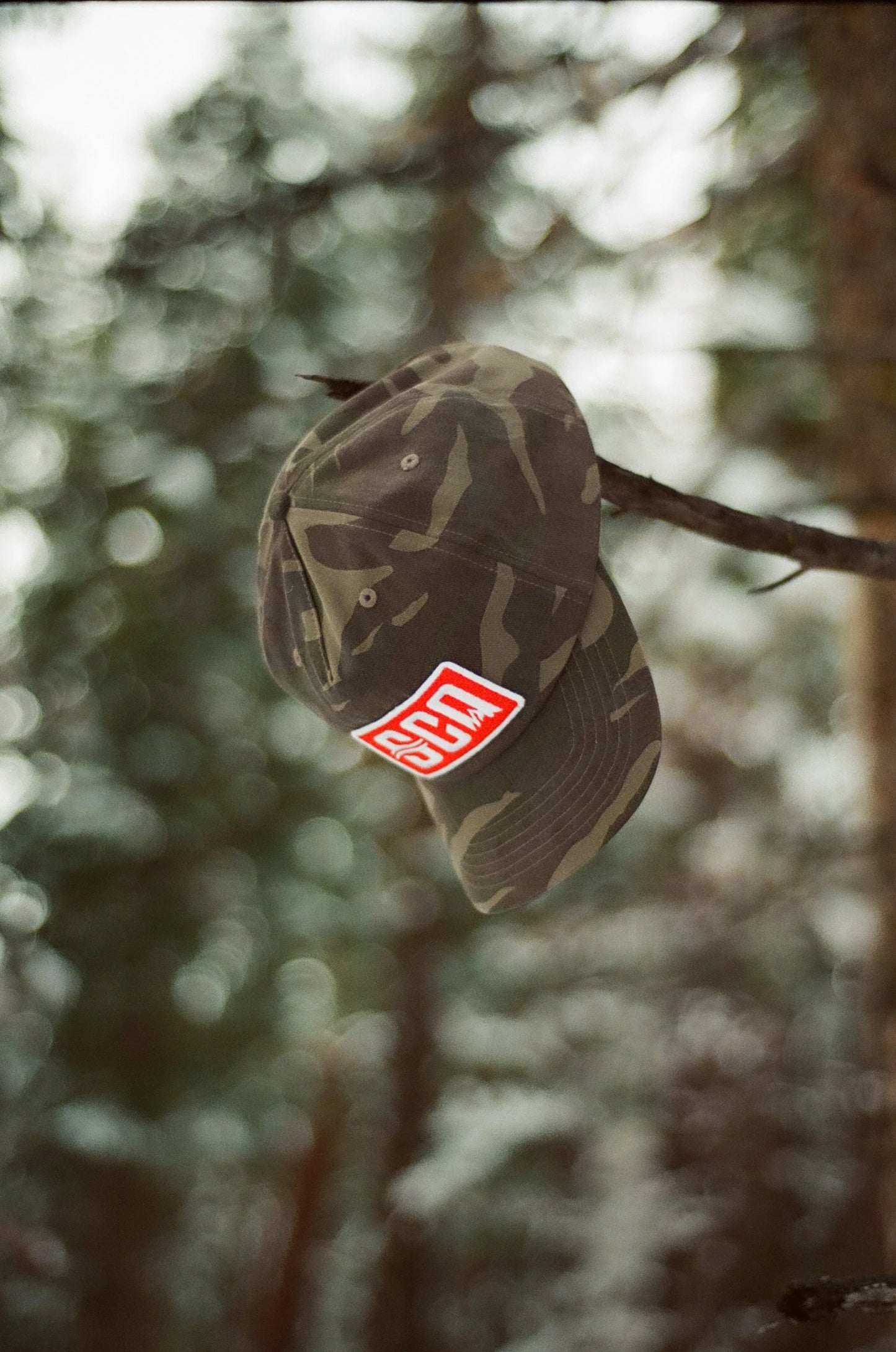 Born to Roam Snapback