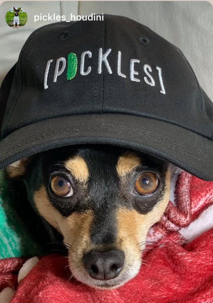 Pickle Cap Hat - Unique and Stylish Pickle Accessory
