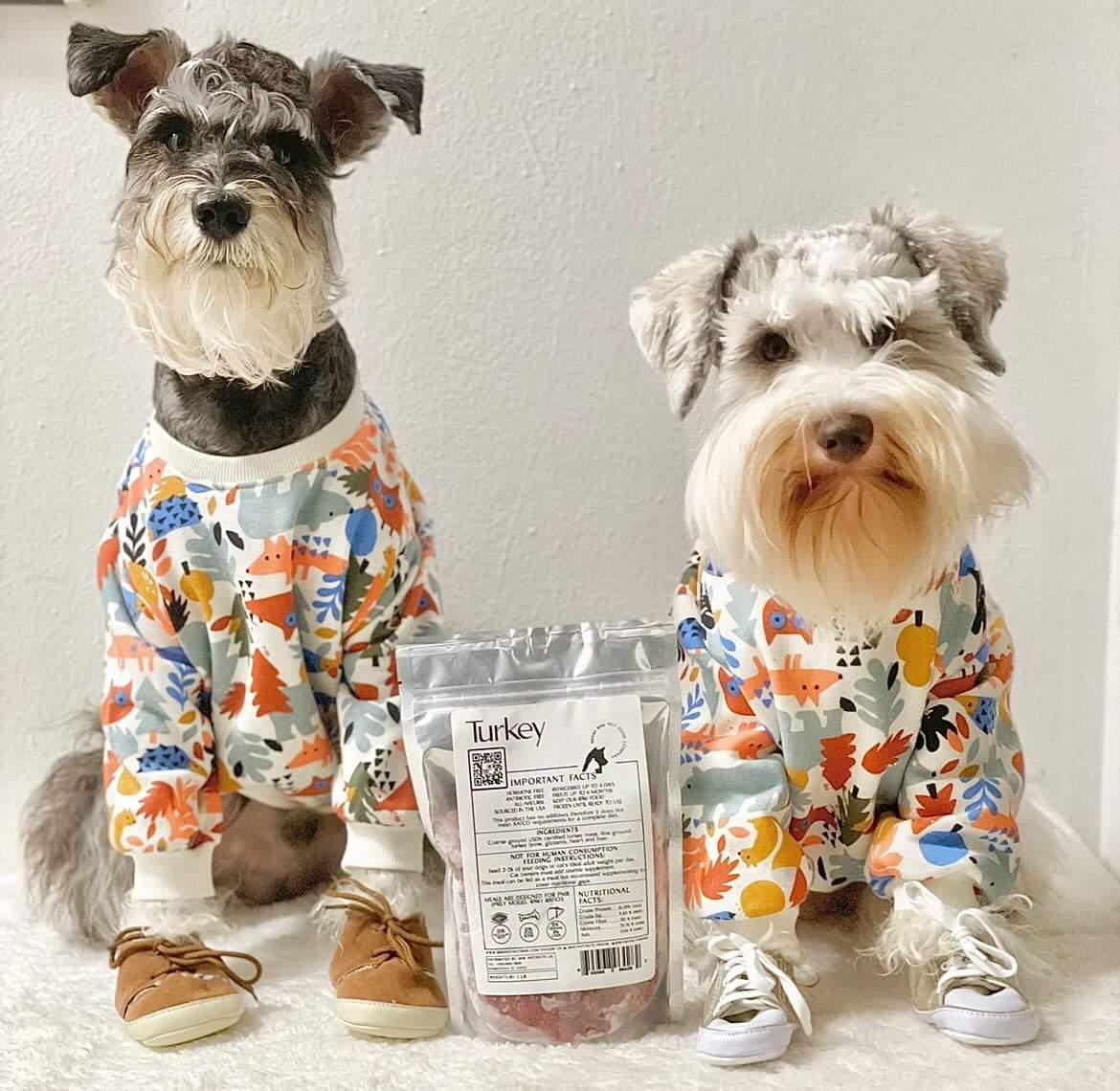 Raw Turkey Meal Blend for Cats & Dogs — Prey Model Raw | Raw Instincts Florida