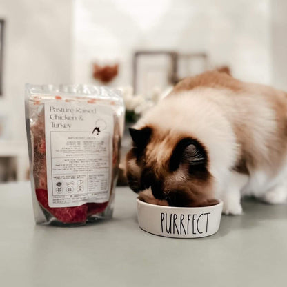 Raw Chicken & Turkey Meal Blend for Cats & Dogs — Prey Model Raw | Raw Instincts Florida