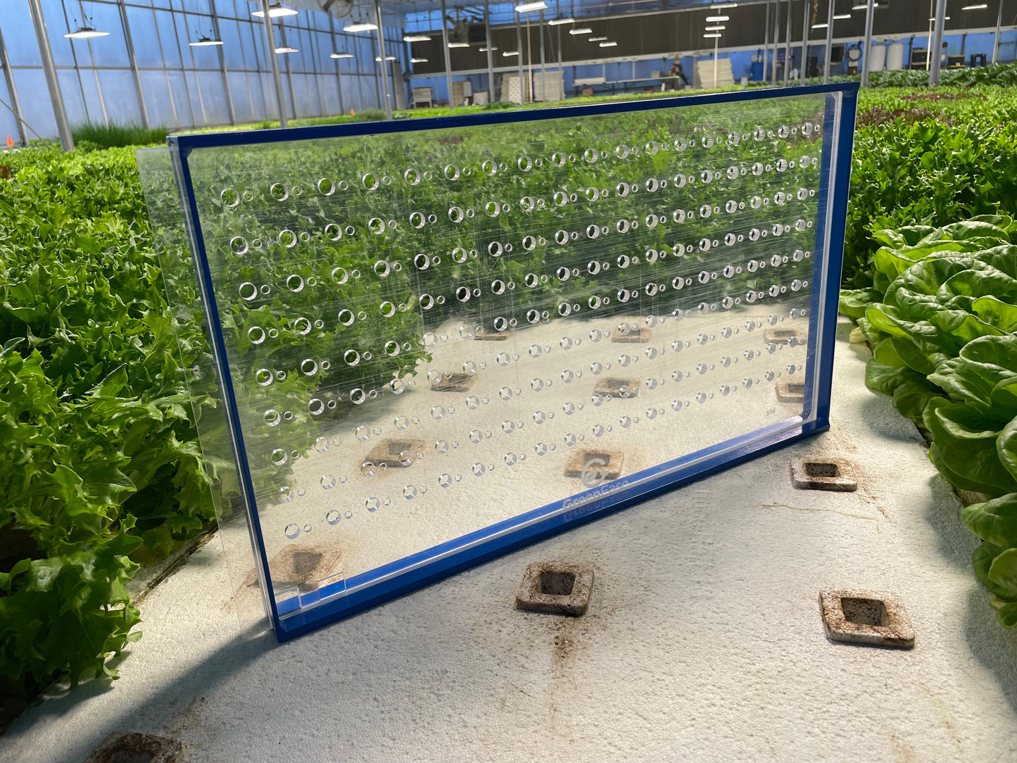 GreenEase Drop Seeder for Winstrip® Trays