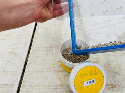 GreenEase Drop Seeder for Oasis® Horticubes