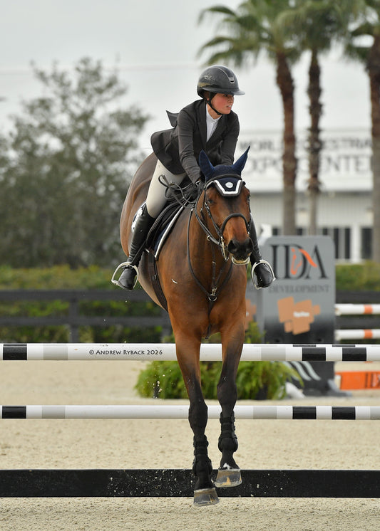 Horse Bonnet | Navy- Brown & White