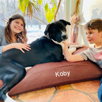 Premium Hemp Dog Bed - Organic Latex Foam Fill