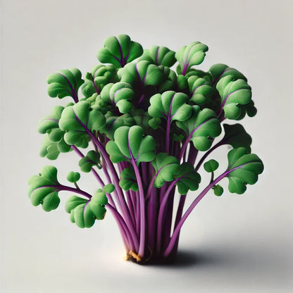 Kohlrabi (Purple)