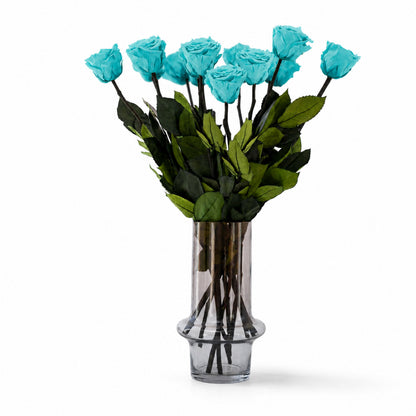 Long Stem Roses | Turquoise Roses