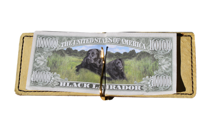 Leather Money Clip and Cardholder