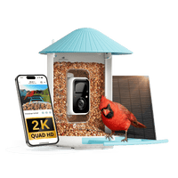 Birdfy Feeder - AI-Powered Smart Bird Feeder with Camera