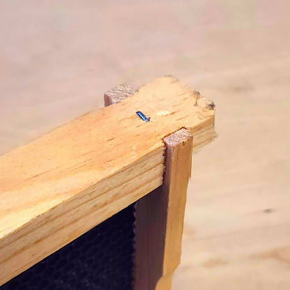 Medium 6 1/4-Inch Frame, Grooved Top / Grooved Bottom With Double Wax Foundation