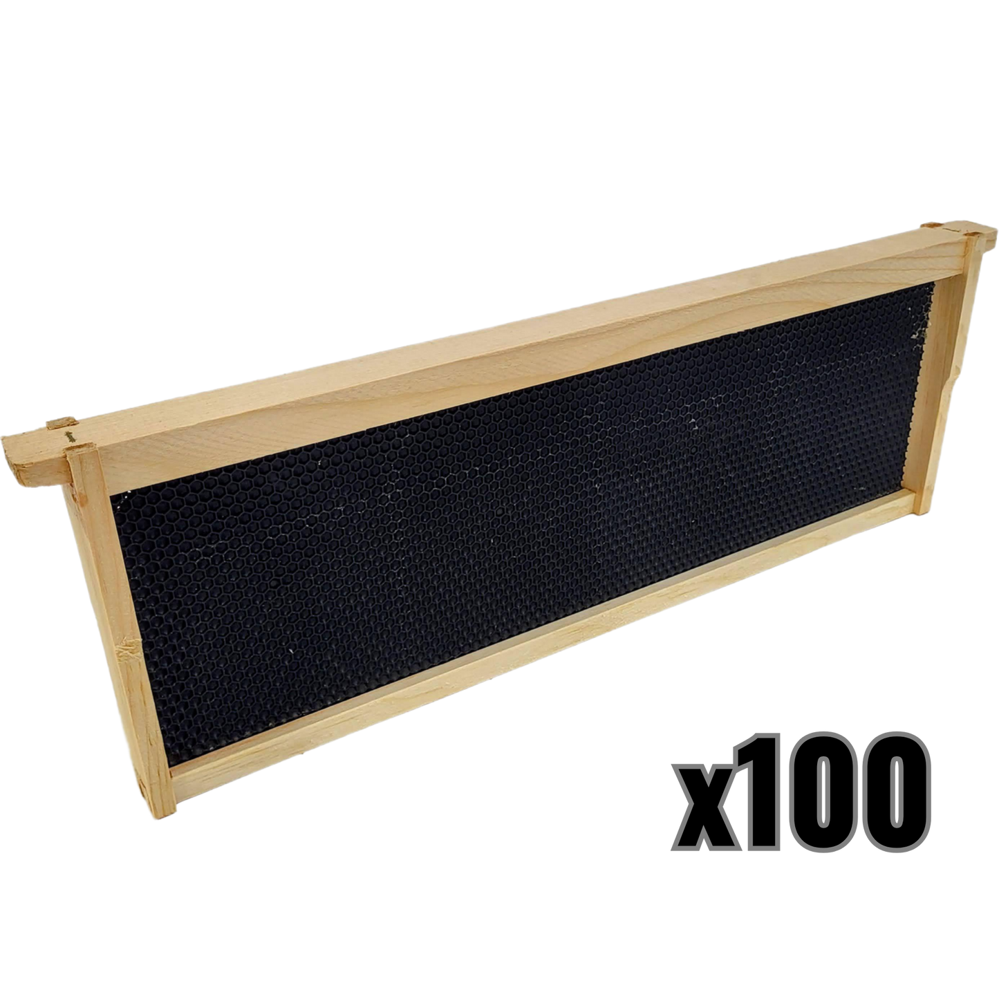 Medium 6 1/4-Inch Frame, Grooved Top / Grooved Bottom With Double Wax Foundation