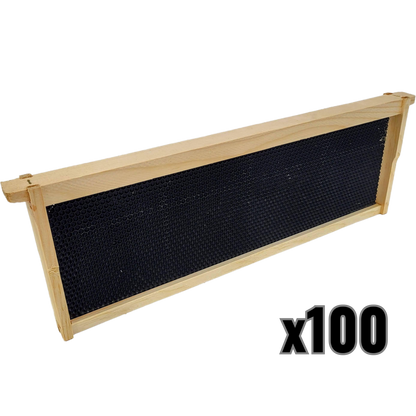 Medium 6 1/4-Inch Frame, Grooved Top / Grooved Bottom With Double Wax Foundation