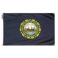 New Hampshire Flag with Grommets Along the Edges for Wall Hanging