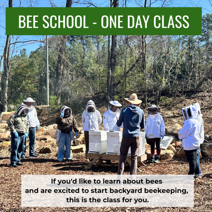 Bee School - One Day Class