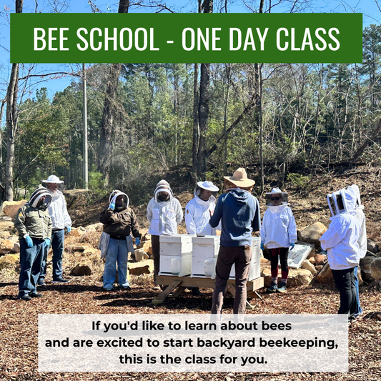 Bee School - One Day Class