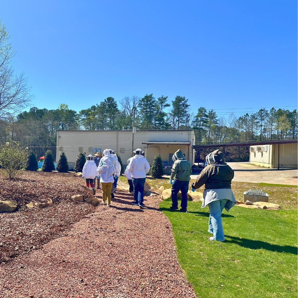 Bee School - One Day Class