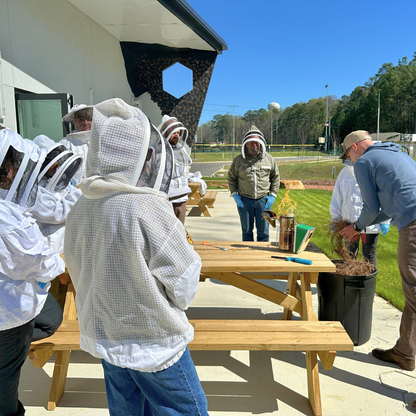 Bee School - One Day Class