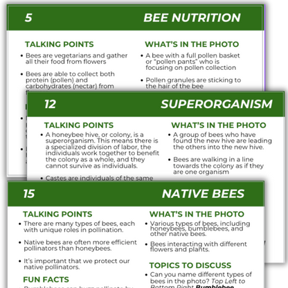 Educational Beekeeping Cards