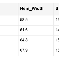 Lacey Ruffled Short Sleeve PLUS Blouse