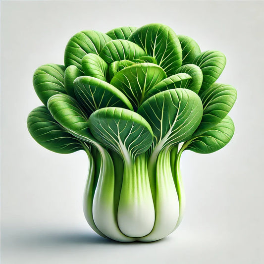 Bok Choy (Little Shanghai) (4x)