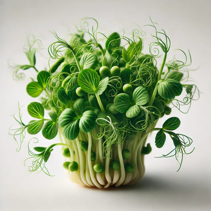 Pea Shoots (Field)
