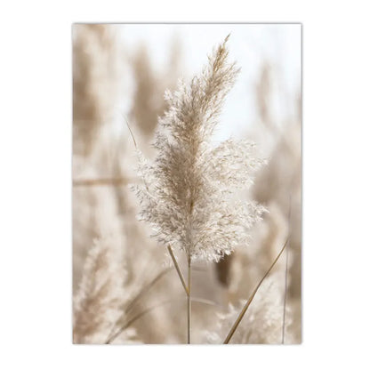 Modern Scenery Landscape Poster Coconut Reed Shell Beach Art Canvas Painting Palm Leaves Print Nordic Wall Pictures Home Decor