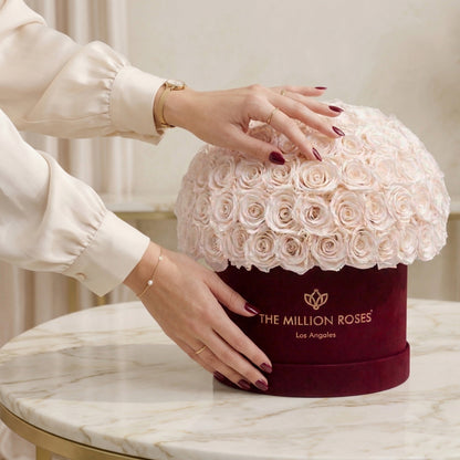 Supreme Bordeaux Suede Superdome Box | White Roses