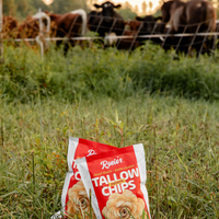 Rosie's Chips [2-Pack]