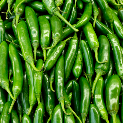 Anaheim Pepper Seeds