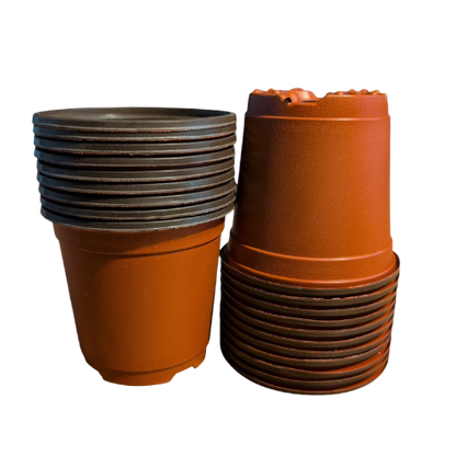 Seedling Transplant Pots